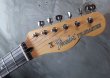 画像2: Fender MIJ Limited Telecaster® Thinline / Kusumi White (2)