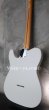 画像6: Fender MIJ Limited Telecaster® Thinline / Kusumi White (6)