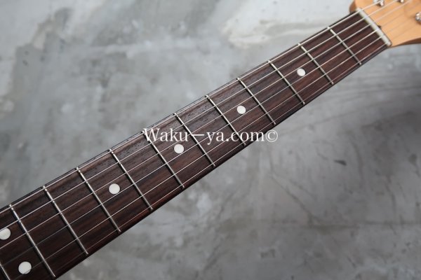 画像4: Fender MIJ Limited Telecaster® Thinline / Kusumi White (4)
