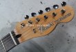 画像3: Fender MIJ Limited Telecaster® Thinline / Kusumi White (3)