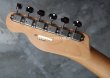 画像7: Fender MIJ Limited Telecaster® Thinline / Kusumi White (7)