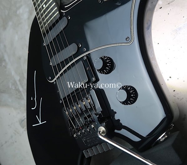 画像10: Steinberger GK-4T Klein / Black (10)