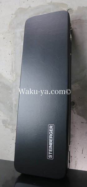 画像1: Steinberger  Hard Case for GL / GT (1)