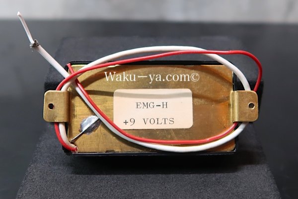 画像5: EMG- H　(2) (5)