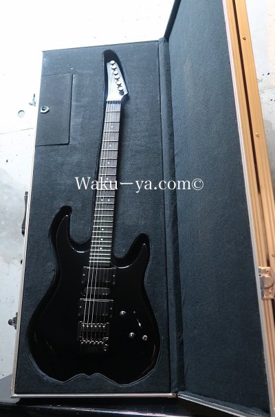 画像1: Steinberger Original Tour Case for GS