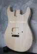画像5: MusiKraft / Build a Kramer Pacer (5)