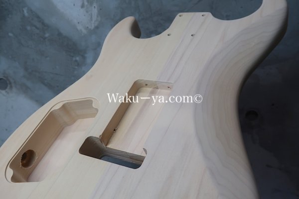 画像9: MusiKraft / Build a Kramer Pacer (9)
