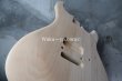 画像3: MusiKraft / Build a Kramer Pacer (3)