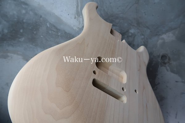 画像3: MusiKraft / Build a Kramer Pacer (3)