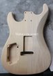 画像2: MusiKraft / Build a Kramer Pacer (2)