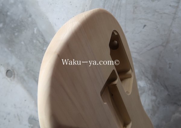 画像6: MusiKraft / Build a Kramer Pacer (6)