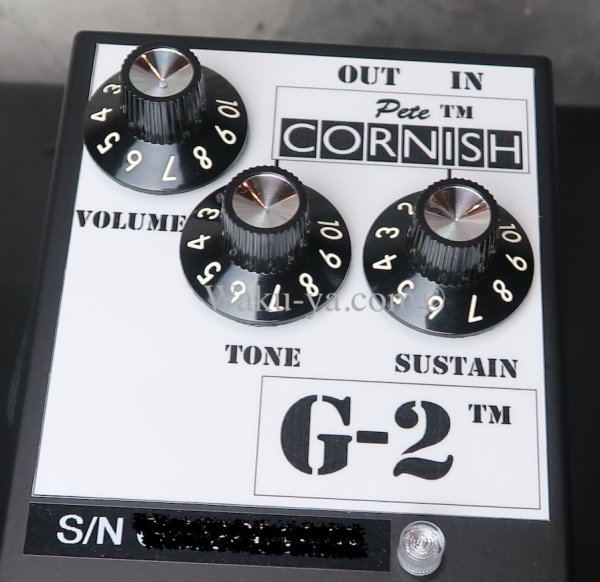 画像7: Pete Cornish G-2 (7)