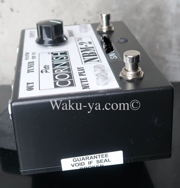 画像3: Pete Cornish NBM-2 (3)