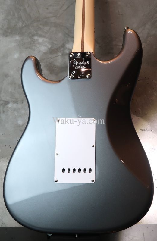 Fender USA Eric Clapton Stratocaster   Pewter